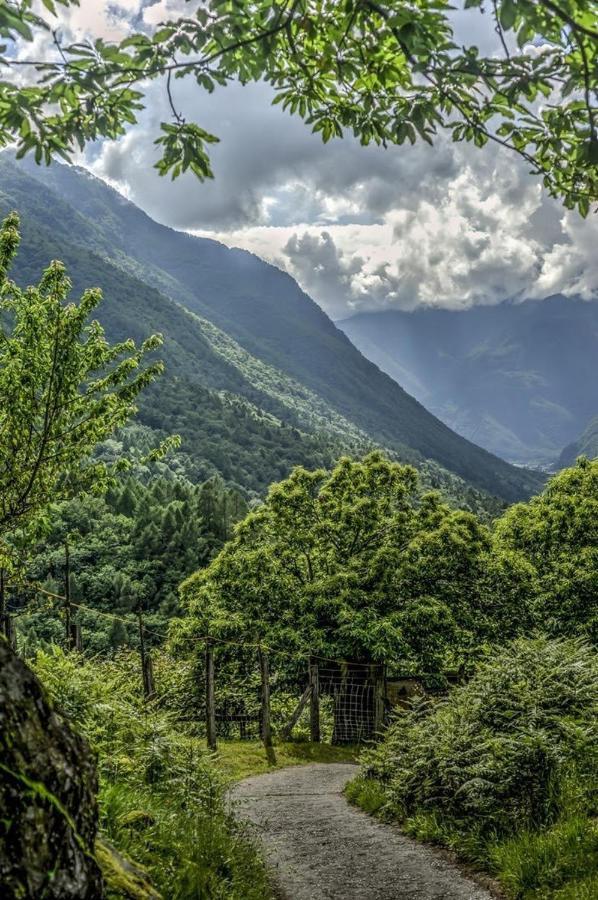 Grotto Zendralli Roveredo Exterior foto